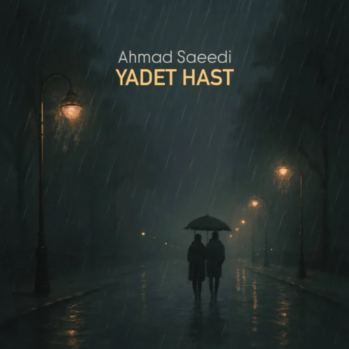 احمد سعیدی – یادت هست