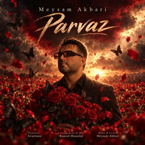 میثم اکبری – پرواز