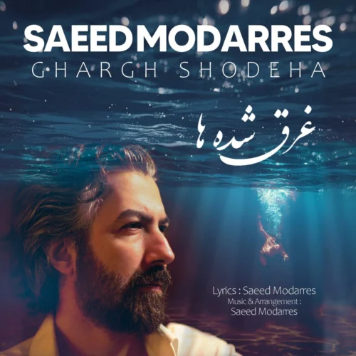 کاور آخرین اثر سعید مدرس