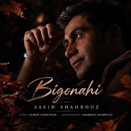 کاور آخرین اثر سعید شهروز